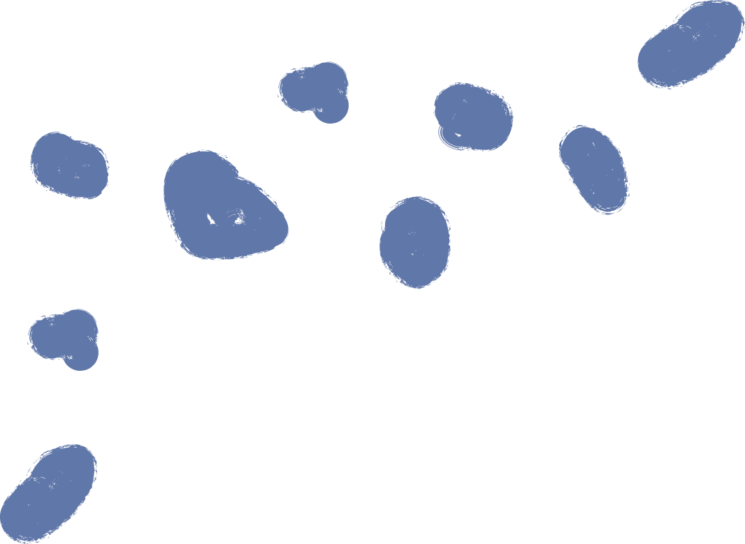 https://everstoneacademy.org/wp-content/uploads/2026/02/Blue_Stones.png